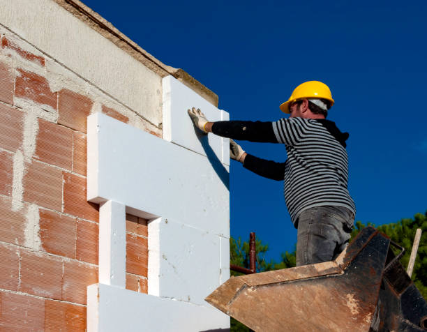 Best Geographic-Specific Insulation Services in Longtown, OK