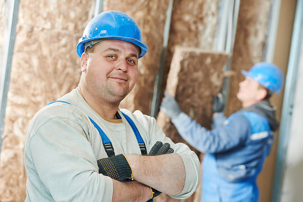 Best Cellulose Insulation in Longtown, OK